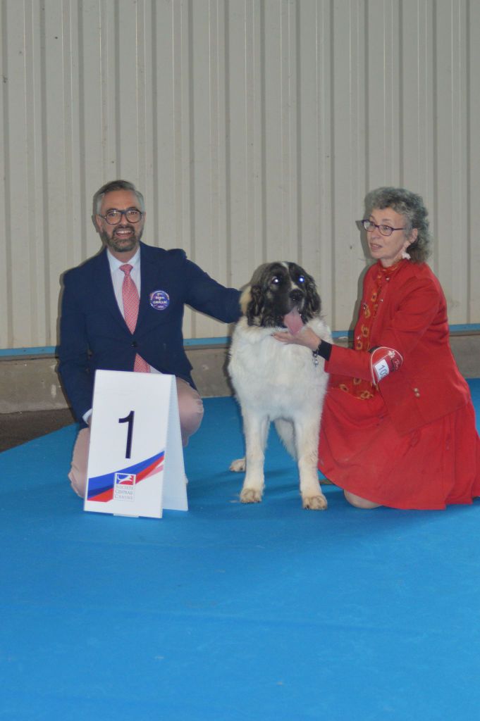 Ulrika-luna Du Grand Seigneur Des Pyrénées